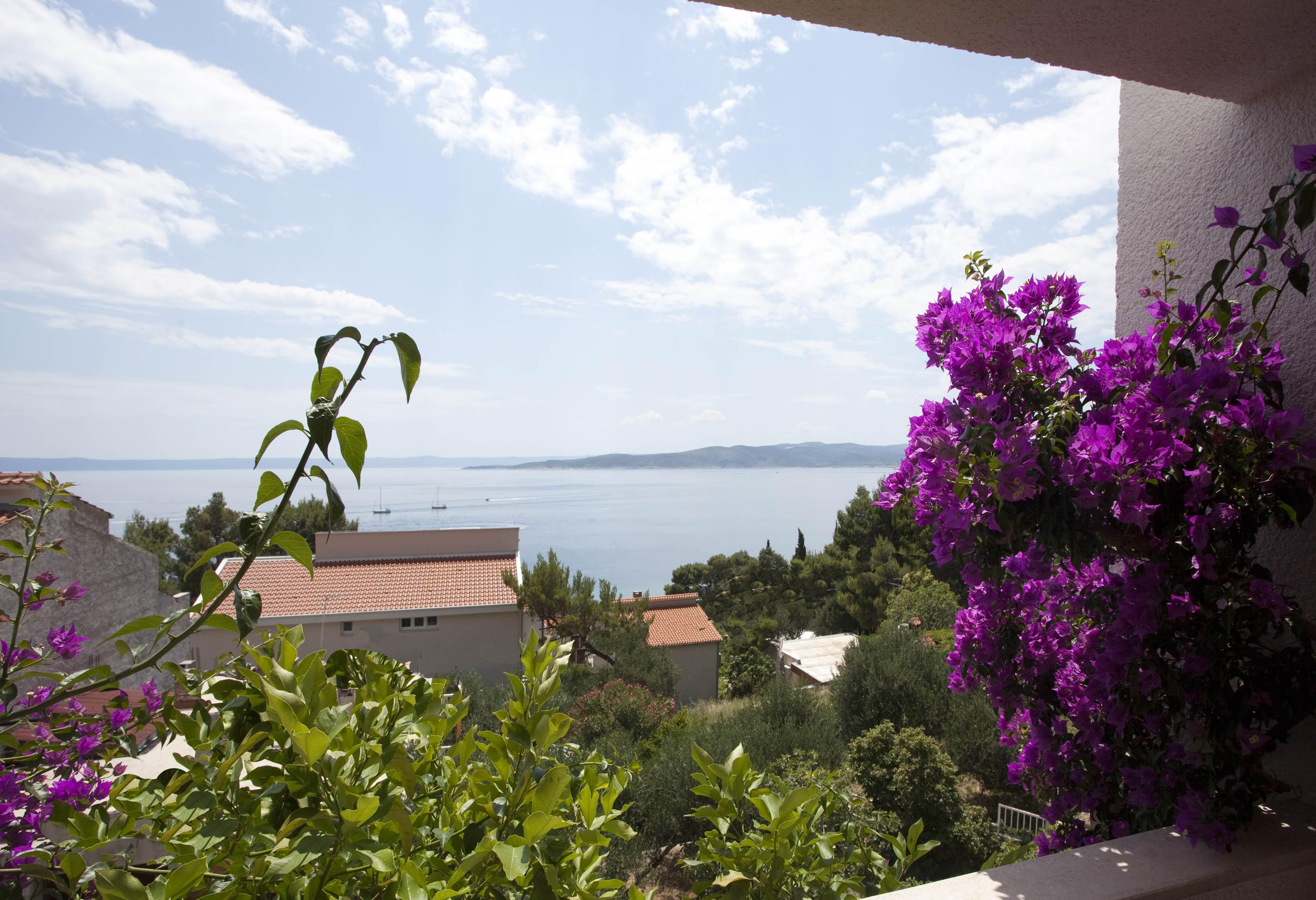 Villa Skalinada, 8 Persons, Private Pool, Baška Voda Eksteriør billede